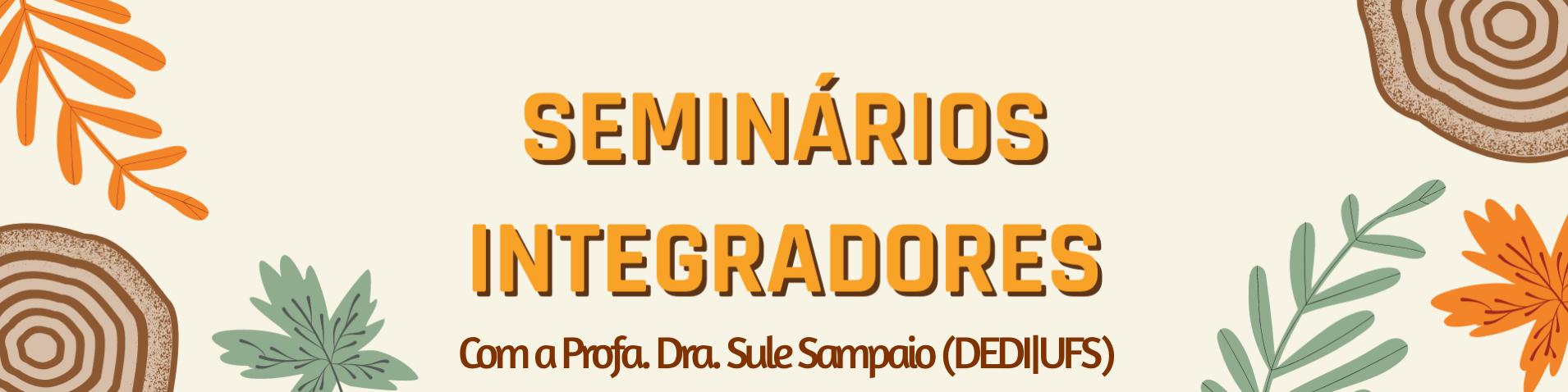 CANAL PARA DISCIPLINAS DE SEMINÁRIOS INTEGRADORES 