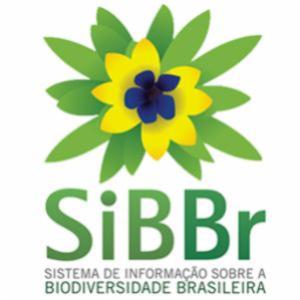 SiBBr