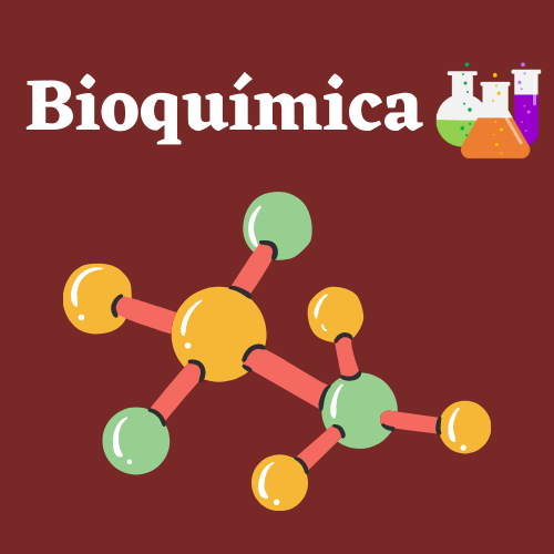 Bioquímica - metabolismo