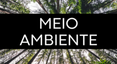 Meio Ambiente