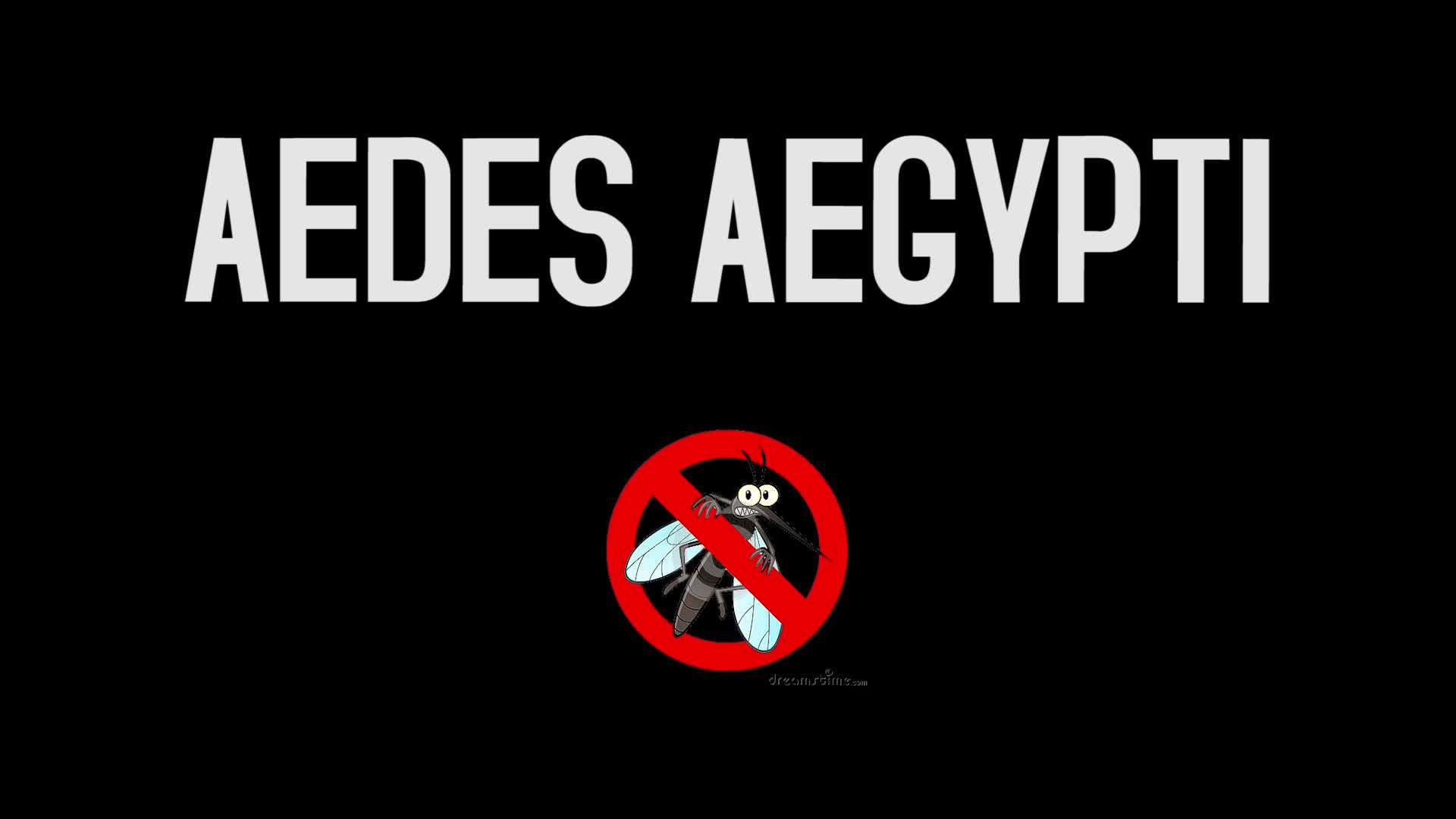 TV Ufes traz dicas para o combate ao mosquito aedes aegypti