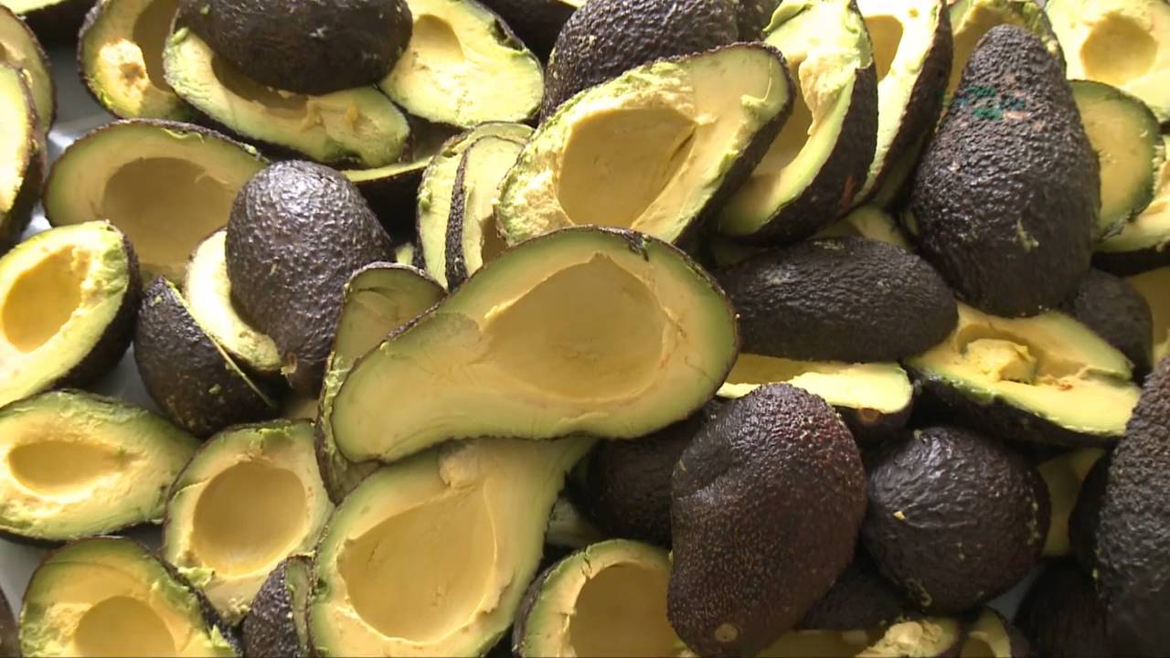 Azeite de abacate para alimentação: alternativa ao azeite de oliva
