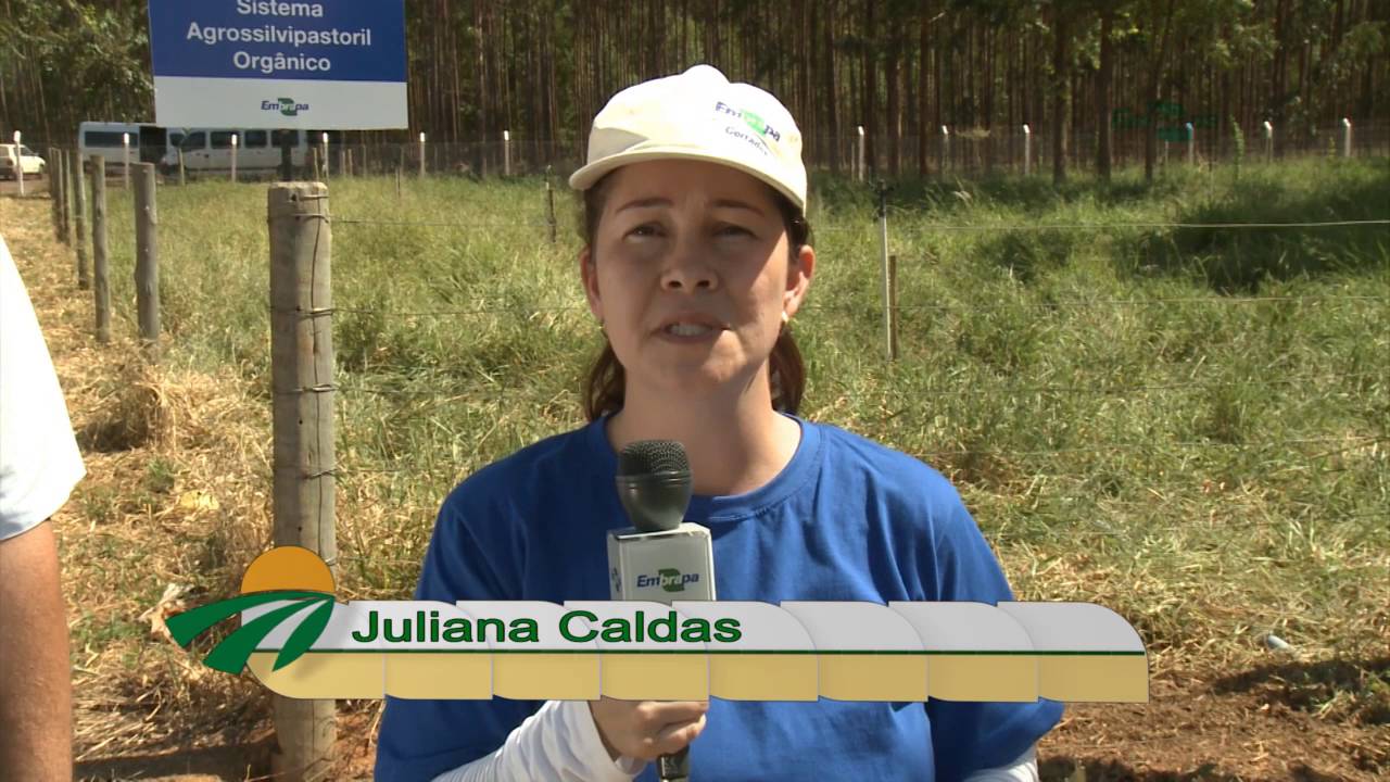 Produtos à base de fruteiras da Caatinga