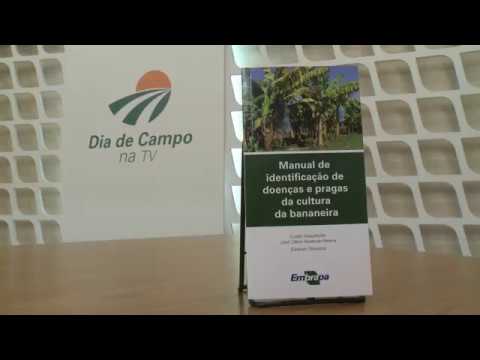 Quadro - Minuto do Livro: Manual de identificação de doenças e pragas da cultura da bananeira