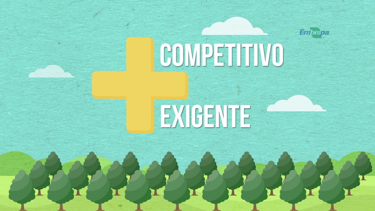 Quadro - Sempre em dia: Erva mate: aplicativo