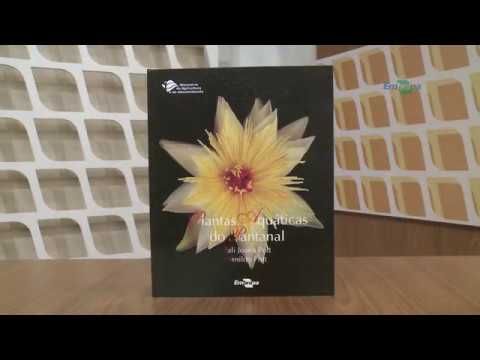 Quadro - Minuto do Livro: Plantas aquáticas do Pantanal