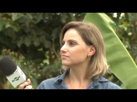 Sistemas agroflorestais: sucesso na Resex Chico Mendes