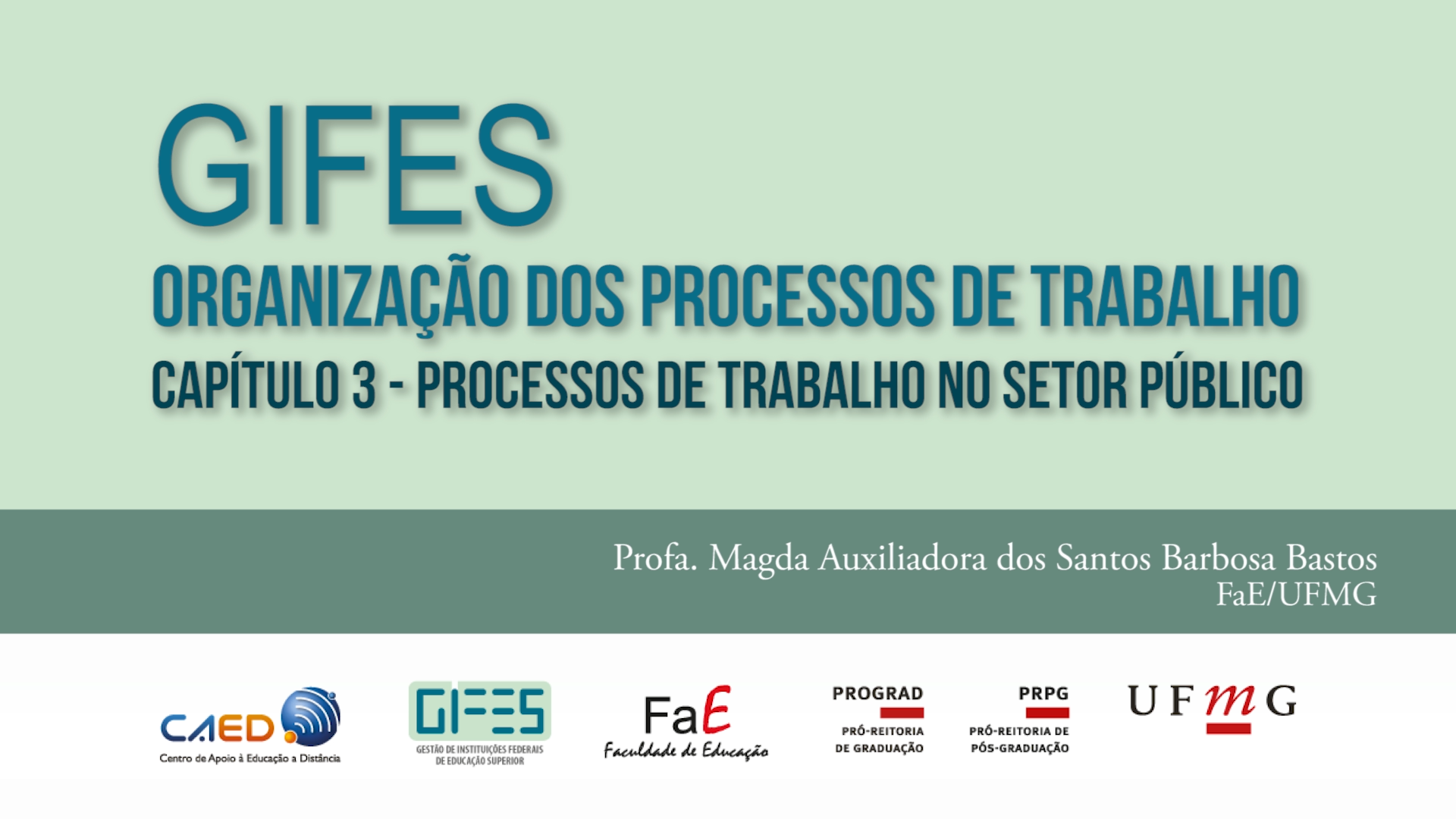 Organização dos Processos de Trabalho – Capítulo 3: Processos de Trabalho no Setor Público