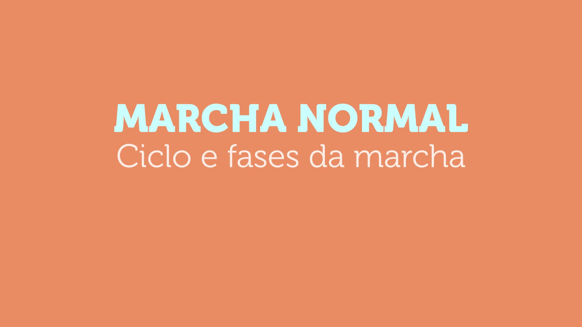 Marcha Normal – ciclos e fases da marcha