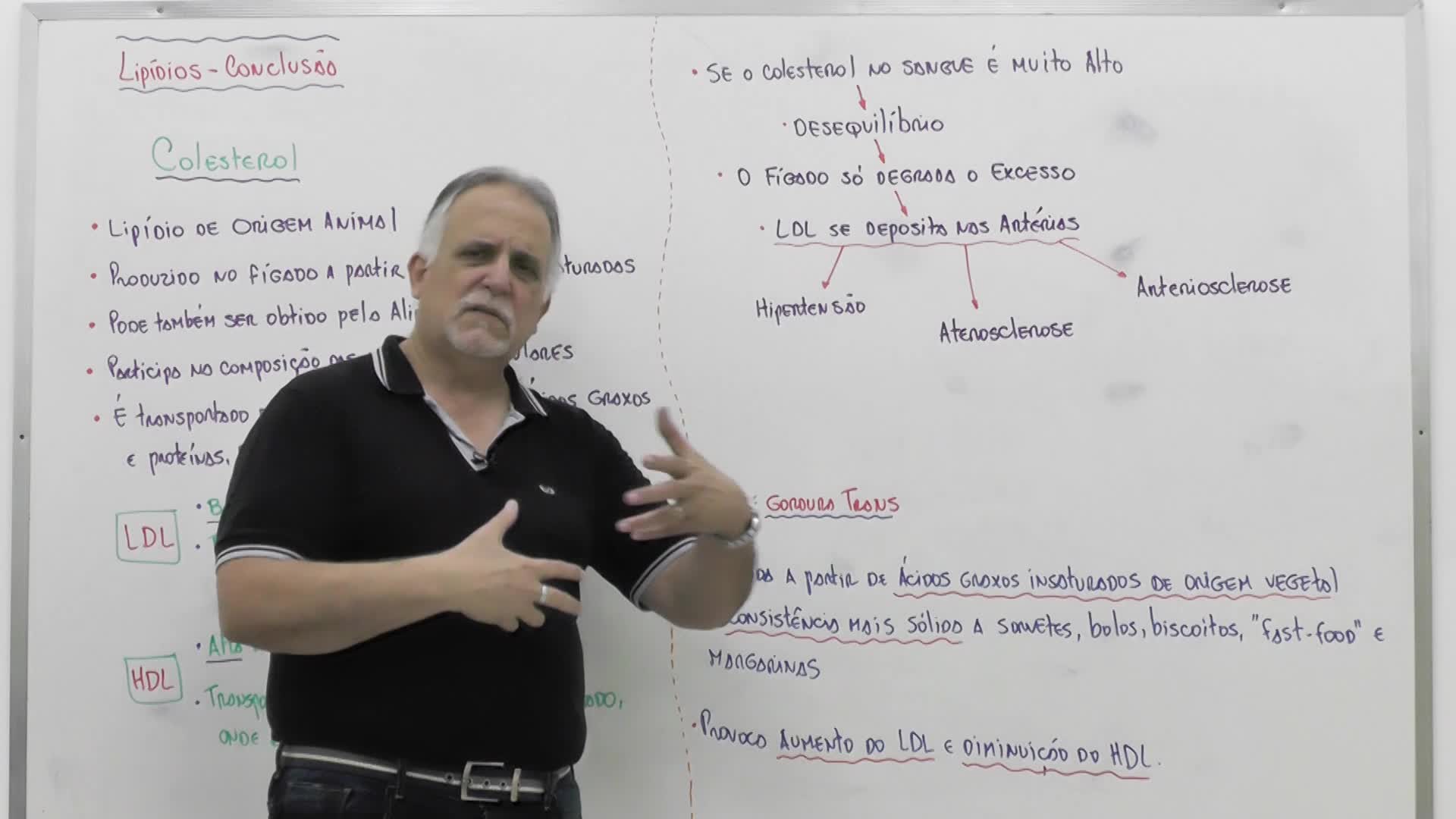 CP2 DIGITAL - AULA TEÓRICA DE BIOLOGIA - LIPÍDEOS / COLESTEROL