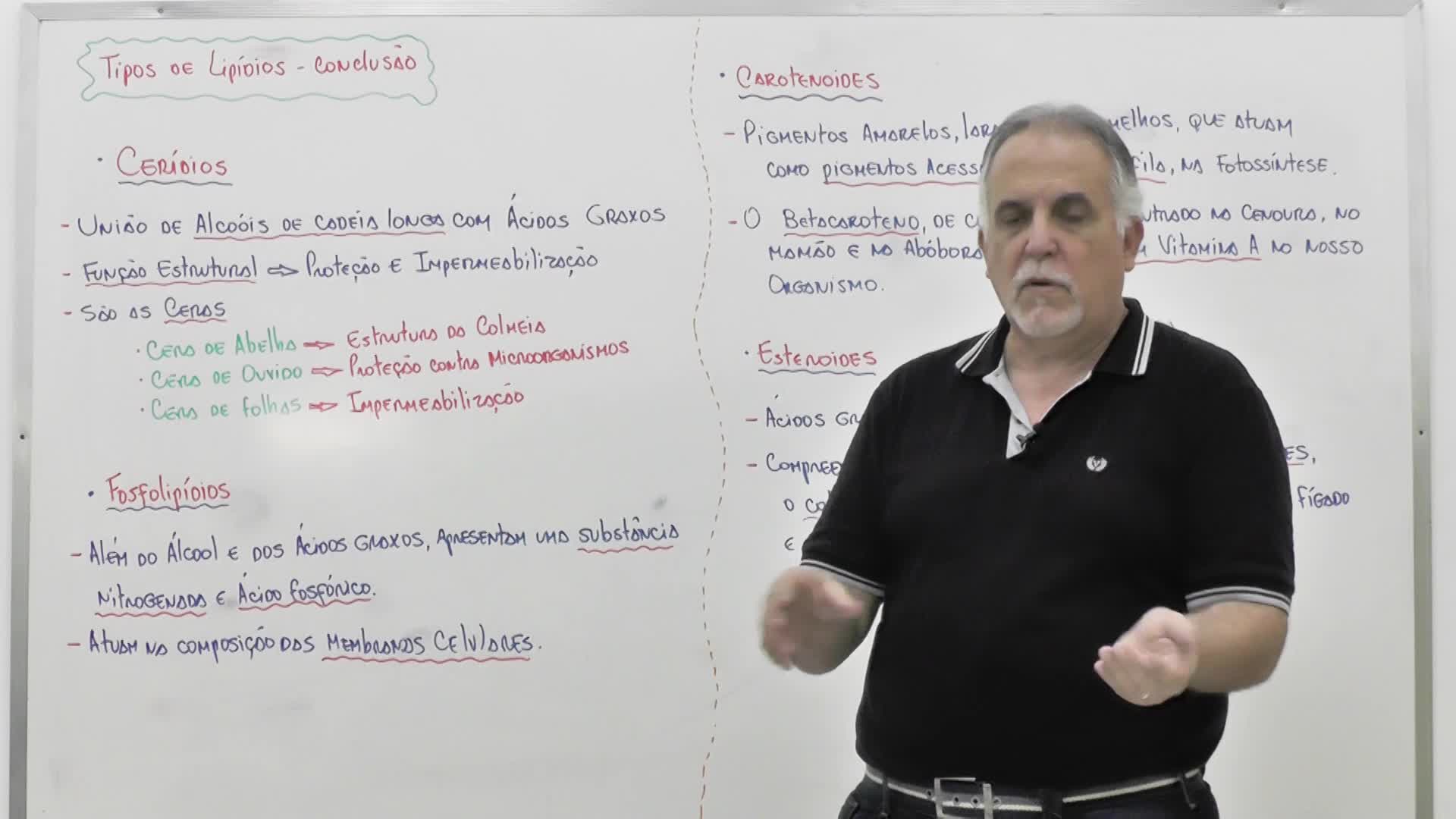 CP2 DIGITAL - AULA TEÓRICA DE BIOLOGIA - LIPÍDEOS / TIPOS DE LIPÍDEOS