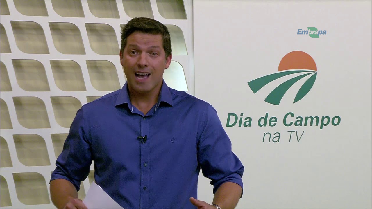 Suínos em família é alternativa para produção sem antimicrobianos