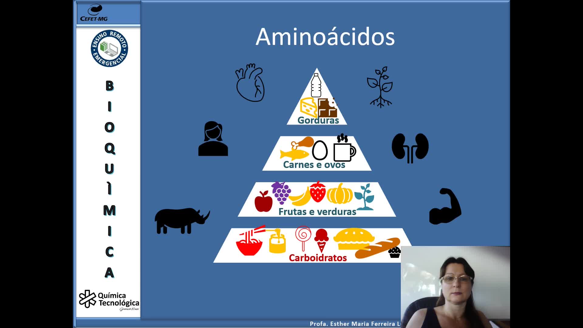 Aminoácidos 