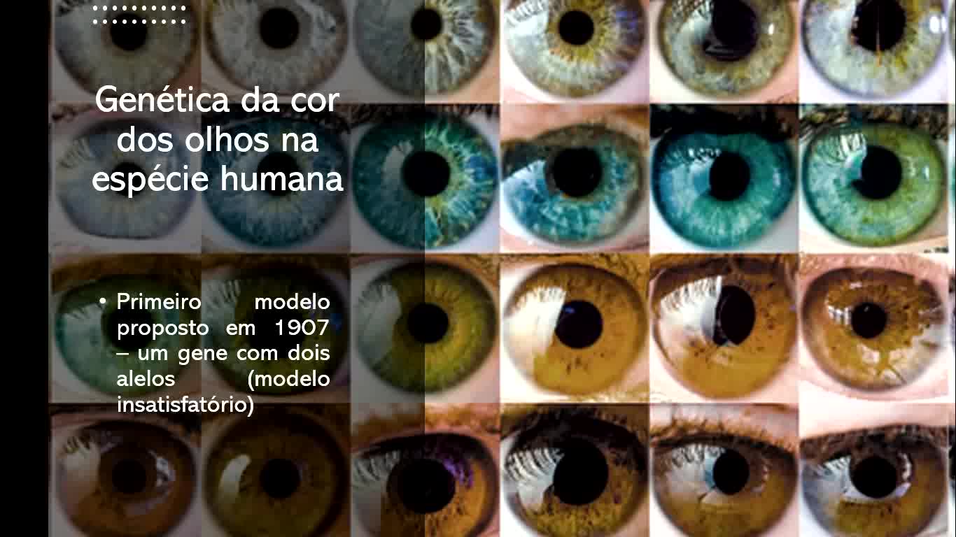 Genética - Aula 7