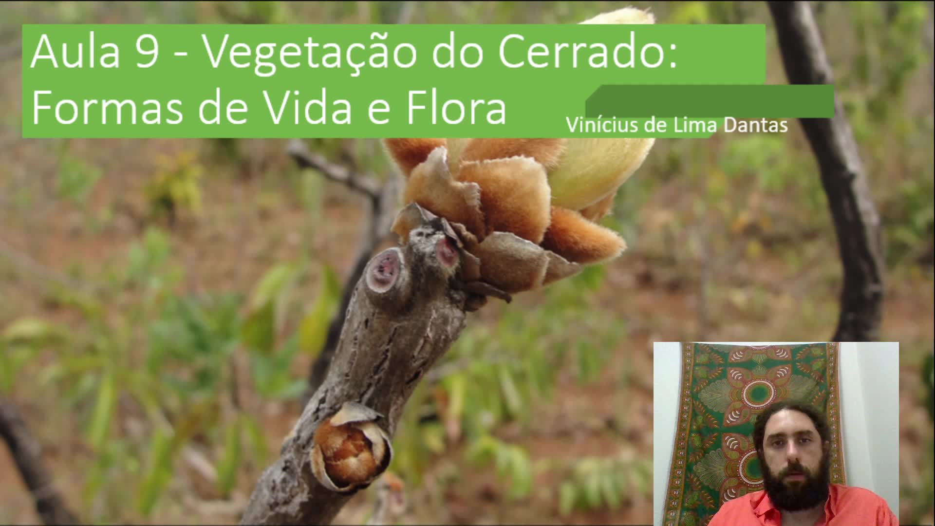 Aula 9 - Formas de Vida e Flora