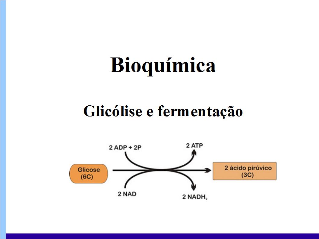 Glicólise e fermentação
