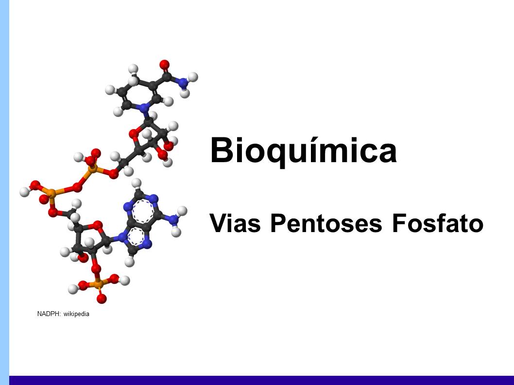 Bioquímica - metabolismo