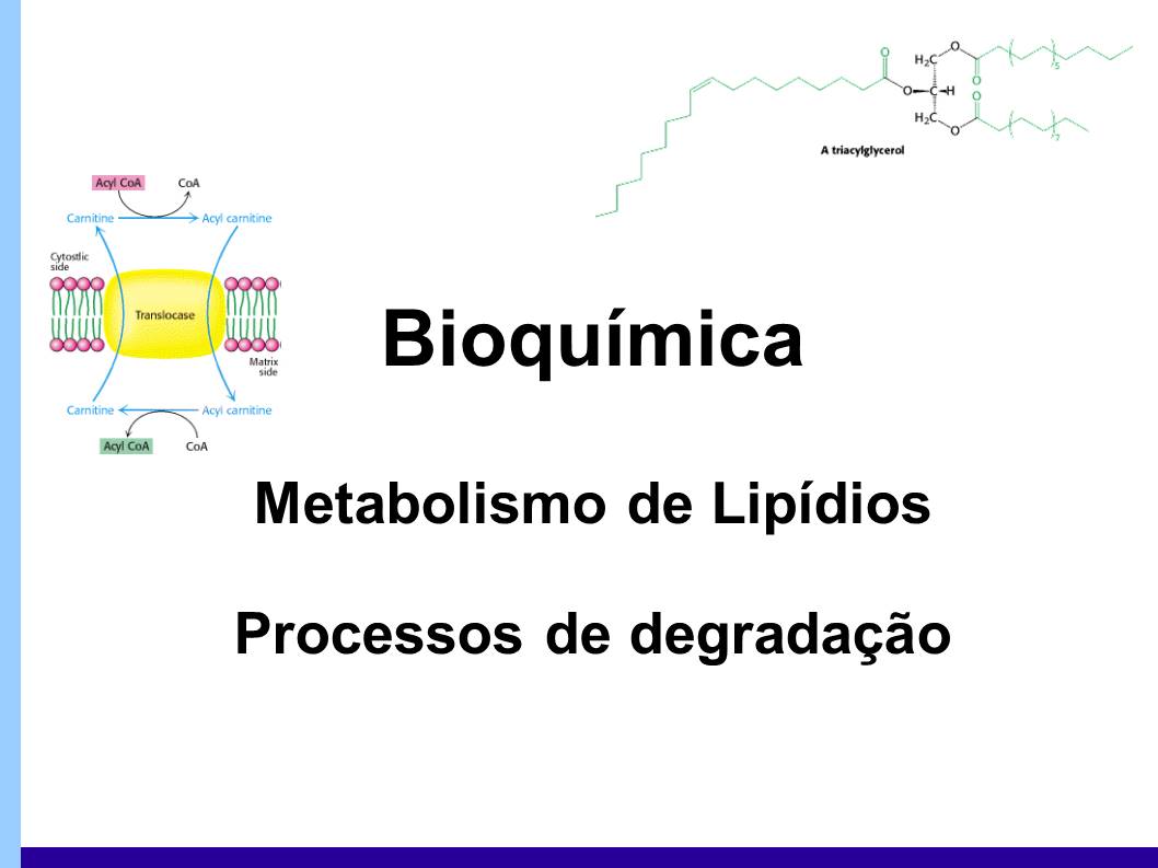 Bioquímica Básica e Metabolismo prova 2 - Bioquímica e Metabolismo Animal