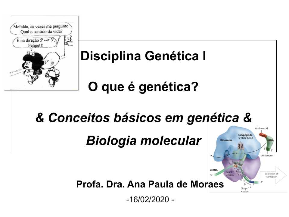 Aula 01_O que é genética?