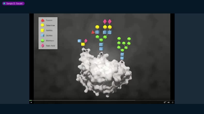 Aula glicoproteínas, glicosaminoglicanos, proteoglicanos, peptideoglicanos