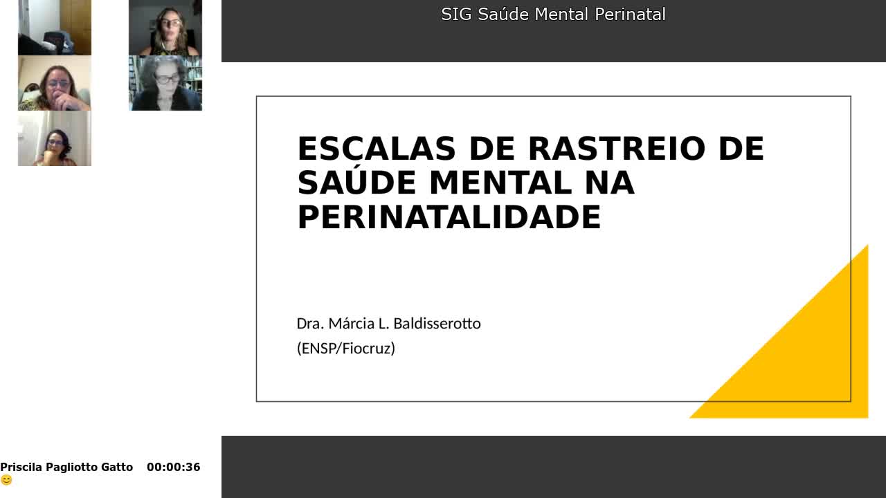 SIG Saúde Mental Perinatal *