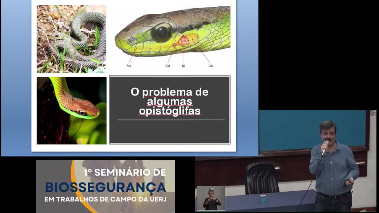 Ao Vivo