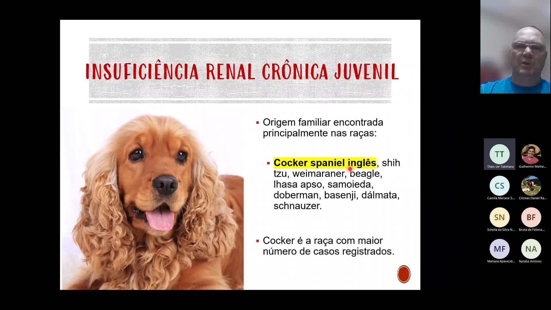 Insuficiência Renal Crônica e Equilíbrio Ácido-básico