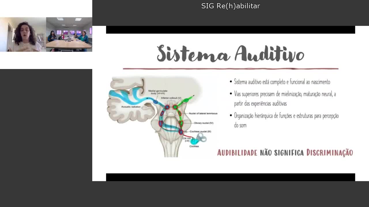 SIG Re(h)abilitar *
