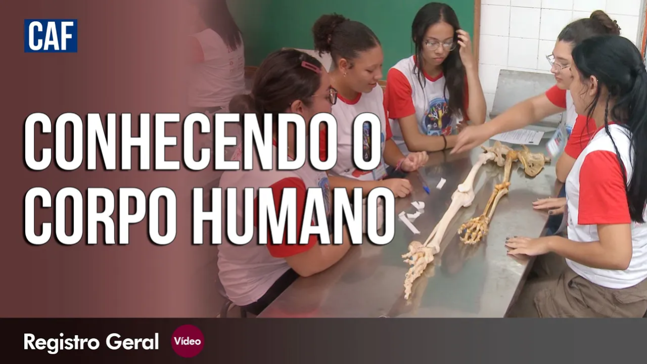 A anatomia que ensina a entender os limites do corpo humano