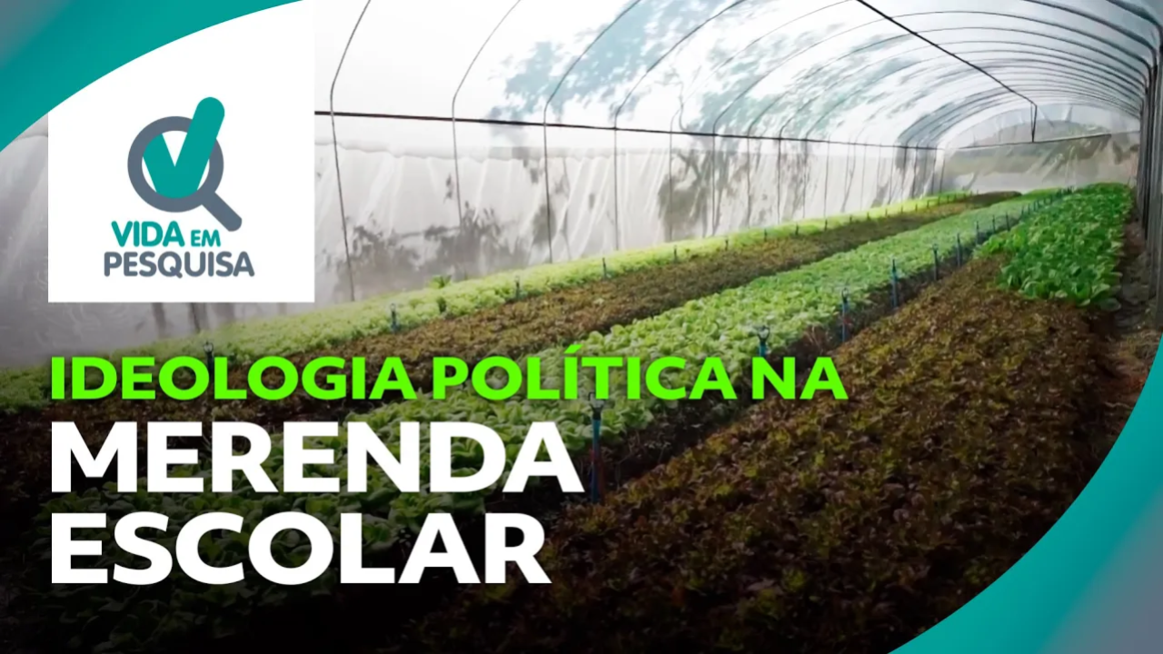 Ideologia política influencia compra de alimentos da agricultura familiar