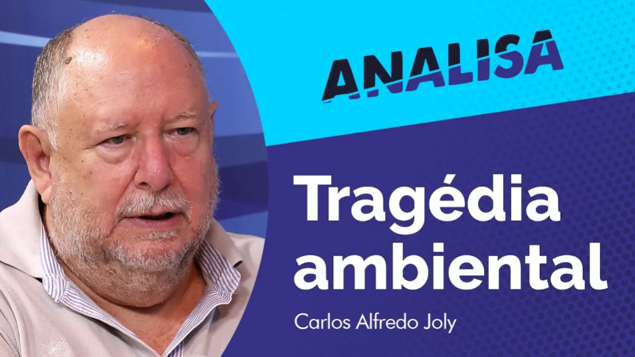 Analisa