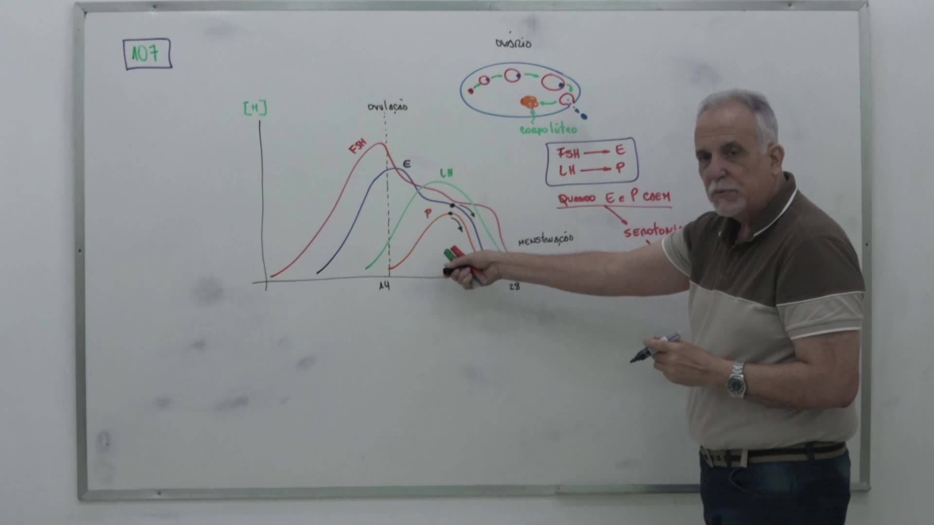 CP2 Digital - Enem 2023 - Biologia - questão 107