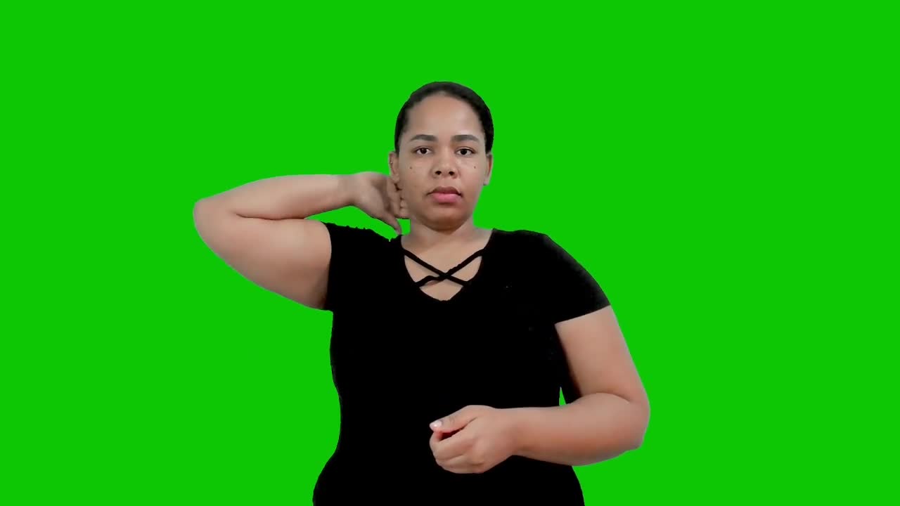 P - Libras