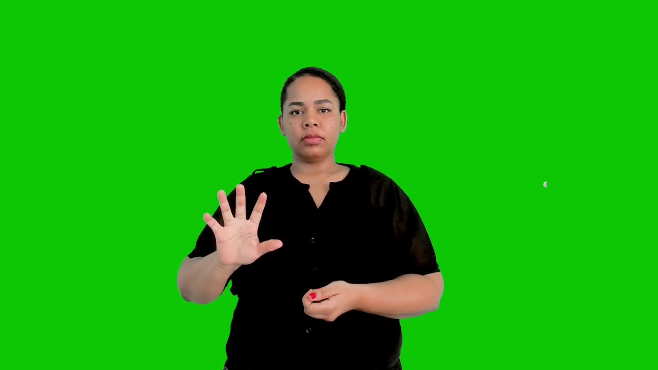 P - Libras