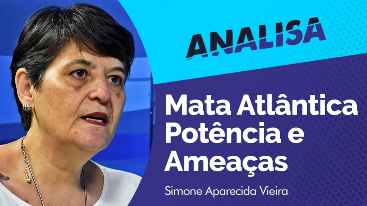 Analisa