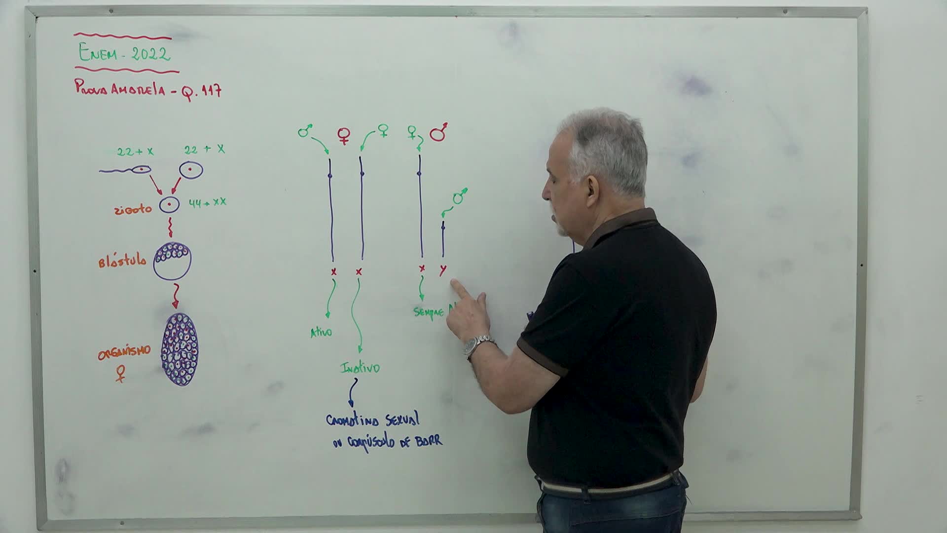 CP2 Digital - Enem 2022 - Biologia - Questão 117
