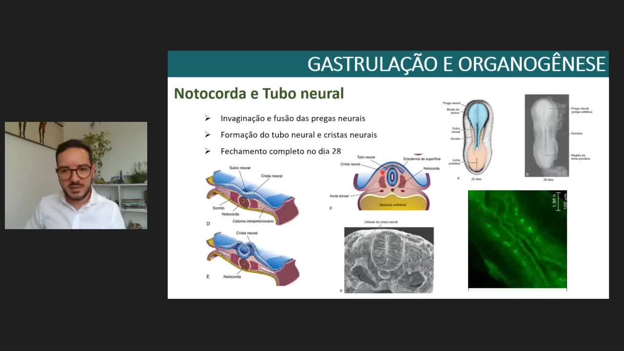 SIG Genética Médica e Doenças Raras*