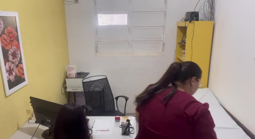 Renovação Receita