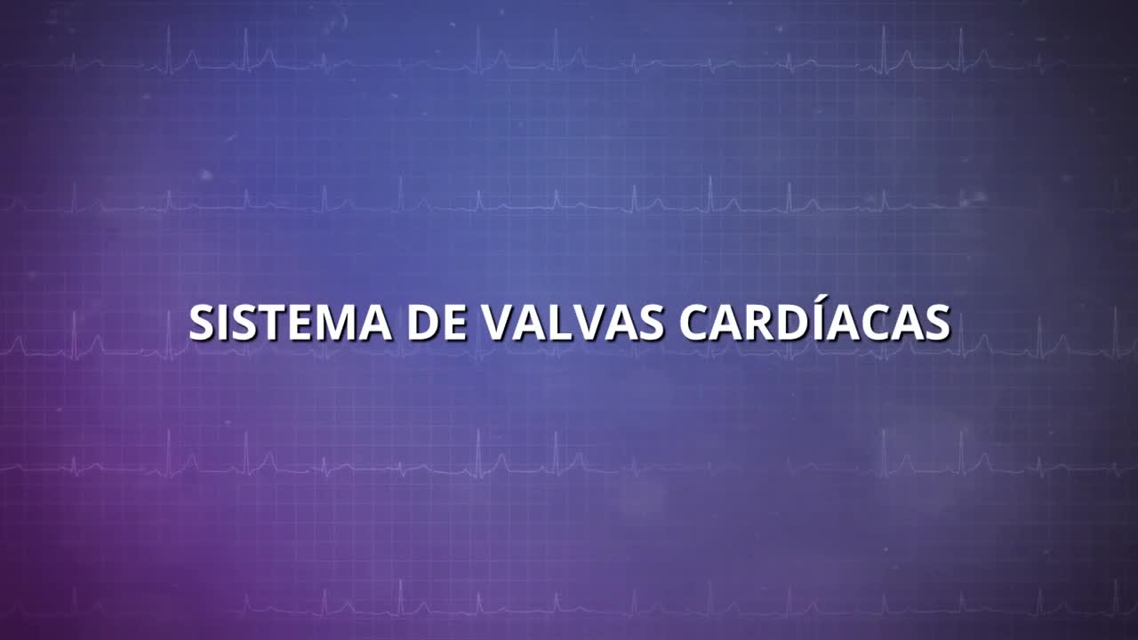 Sistemas de valvas cardíacas