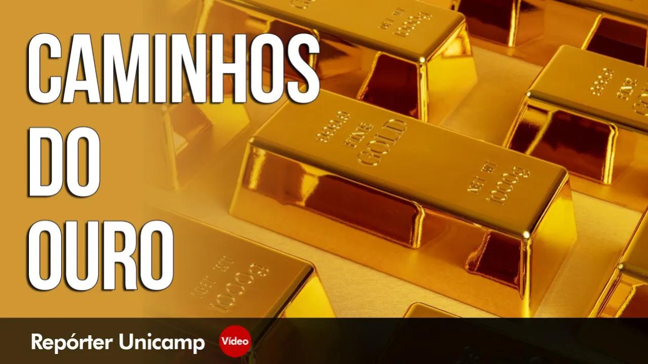 Repórter Unicamp