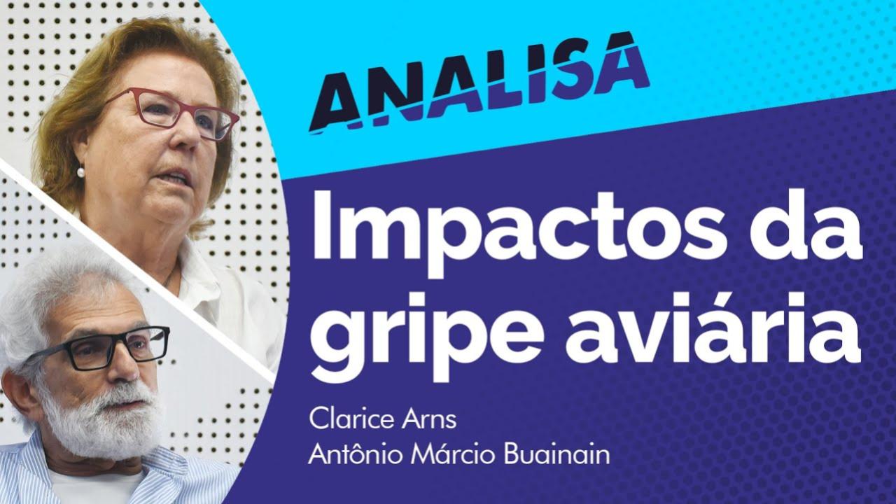 Analisa