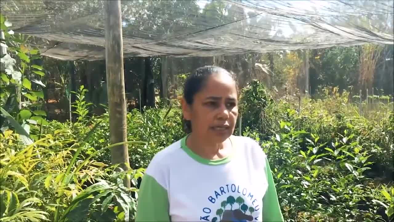 Alimentação