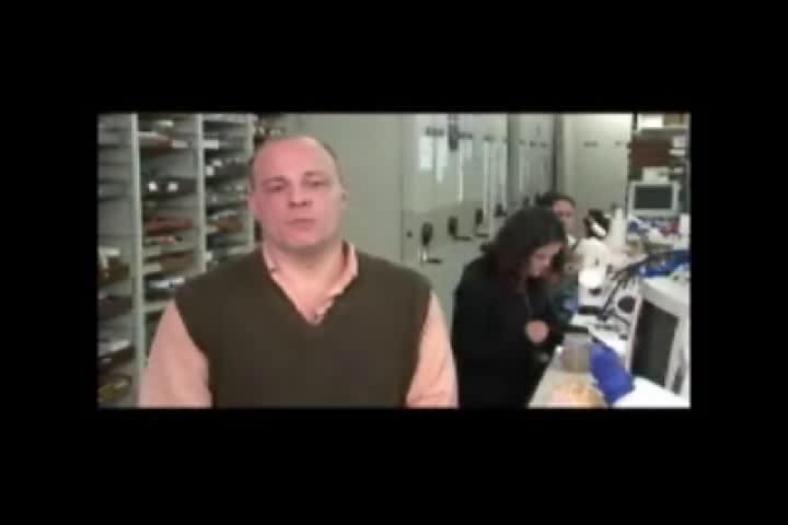 Luiz Ricardo Simone